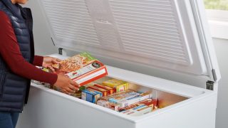Qual o melhor freezer horizontal?